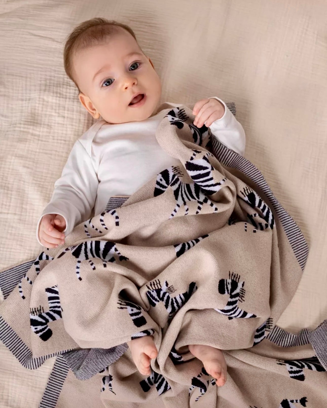 Little Zebra Cotton Knitted Blanket