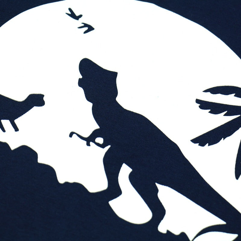 Glow in The Dark Pajama - Dinosaur, Spaceman, Comet, Snowflake