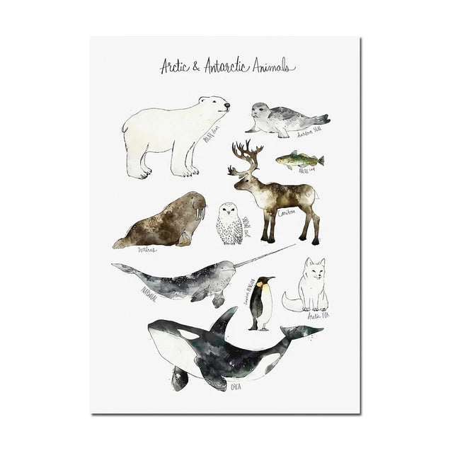 Watercolor Animals, Birds And Mammals Canvas Painting Just Kidding Store