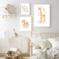 Wild Animals Canvas Paintings - Zebra, Rhino, Tiger, Elephant, Lion