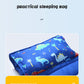 Sleeping Mat With Pillow - Portable Sleep Sack