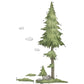 Tall Pine Tree Wall Decal - Just Kidding Store