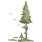 Tall Pine Tree Wall Decal - Just Kidding Store