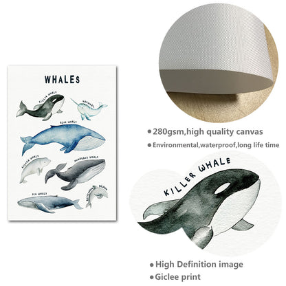 Nursery Canvas Wall Art Dinosaurs Whales Sharks - Just Kidding Store