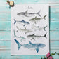 Watercolor Sharks Canvas Painting - Just Kidding Store
