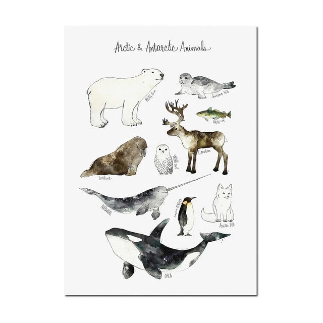 Watercolor Animals, Birds And Mammals Canvas Painting Just Kidding Store